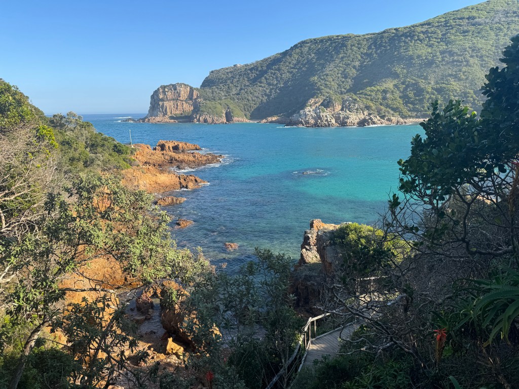 Therapeutic gap year program in South&nbsp;Africa