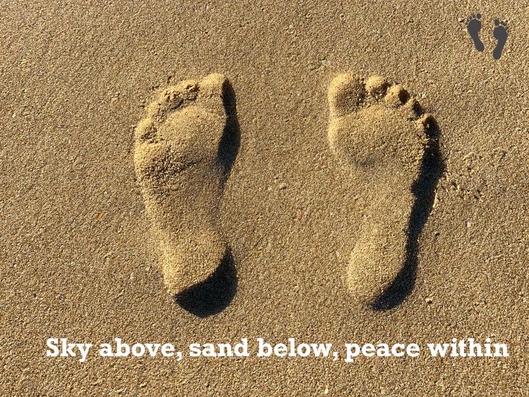 Mental Health University Rehab