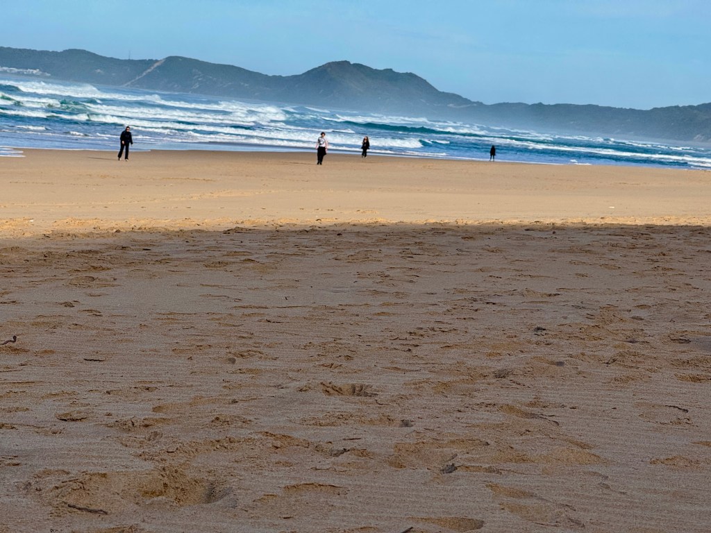 Mental Health Support for Teens